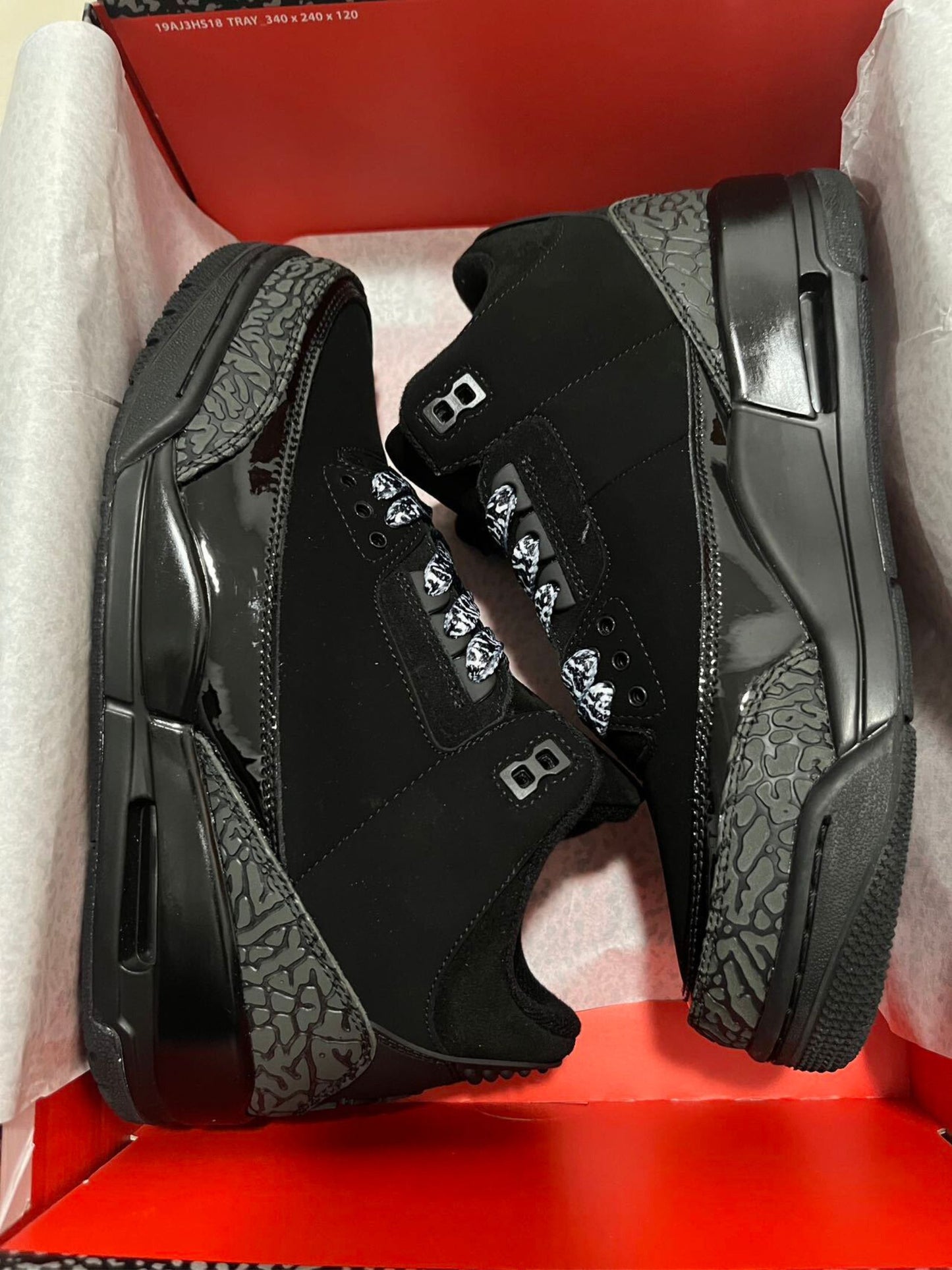Air Jordan 3 black cat burst