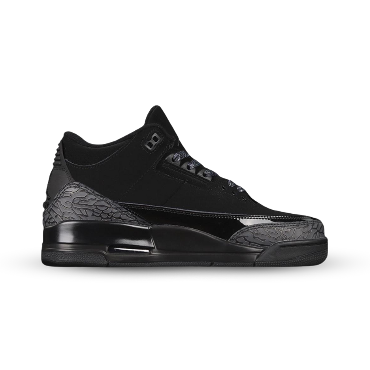 Air Jordan 3 black cat burst